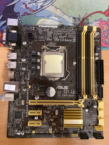 Pirkti Asus B M G Intel B Micro Atx Ddr Lga X Pci E X Slots