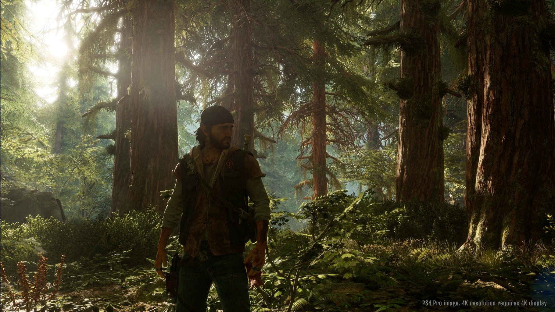 Days Gone Steam Key, Buy at cheap price here