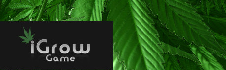 iGrow Game Steam Key GLOBAL