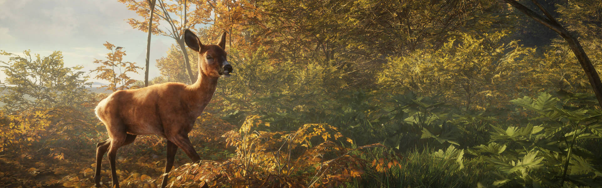 theHunter Call of the Wild (2019 Edition) Steam Key EUROPE