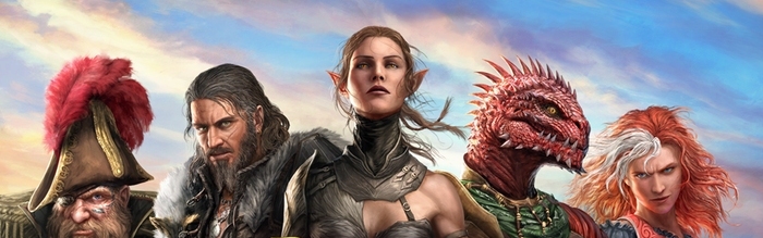 Divinity: Original Sin 2 Definitive Edition GOG.COM Key GLOBAL