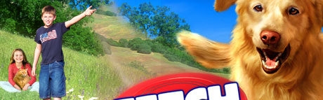 Fetch It Again Steam Key GLOBAL