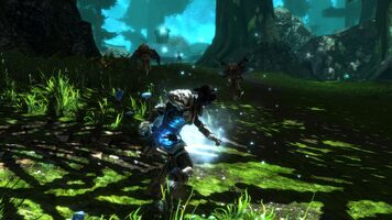 Kingdoms of Amalur: Re-Reckoning Nintendo Switch
