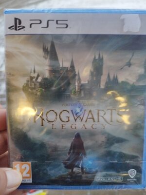 Hogwarts Legacy PlayStation 5