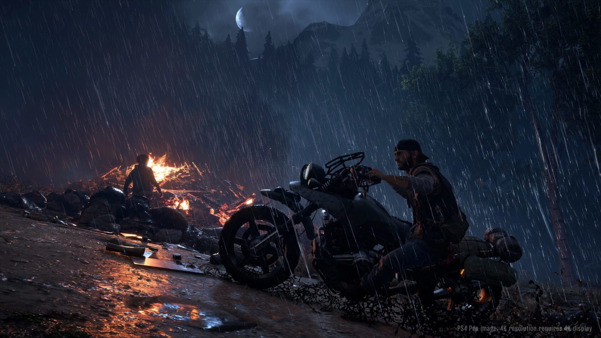 Days Gone Steam Key for PC - Buy now