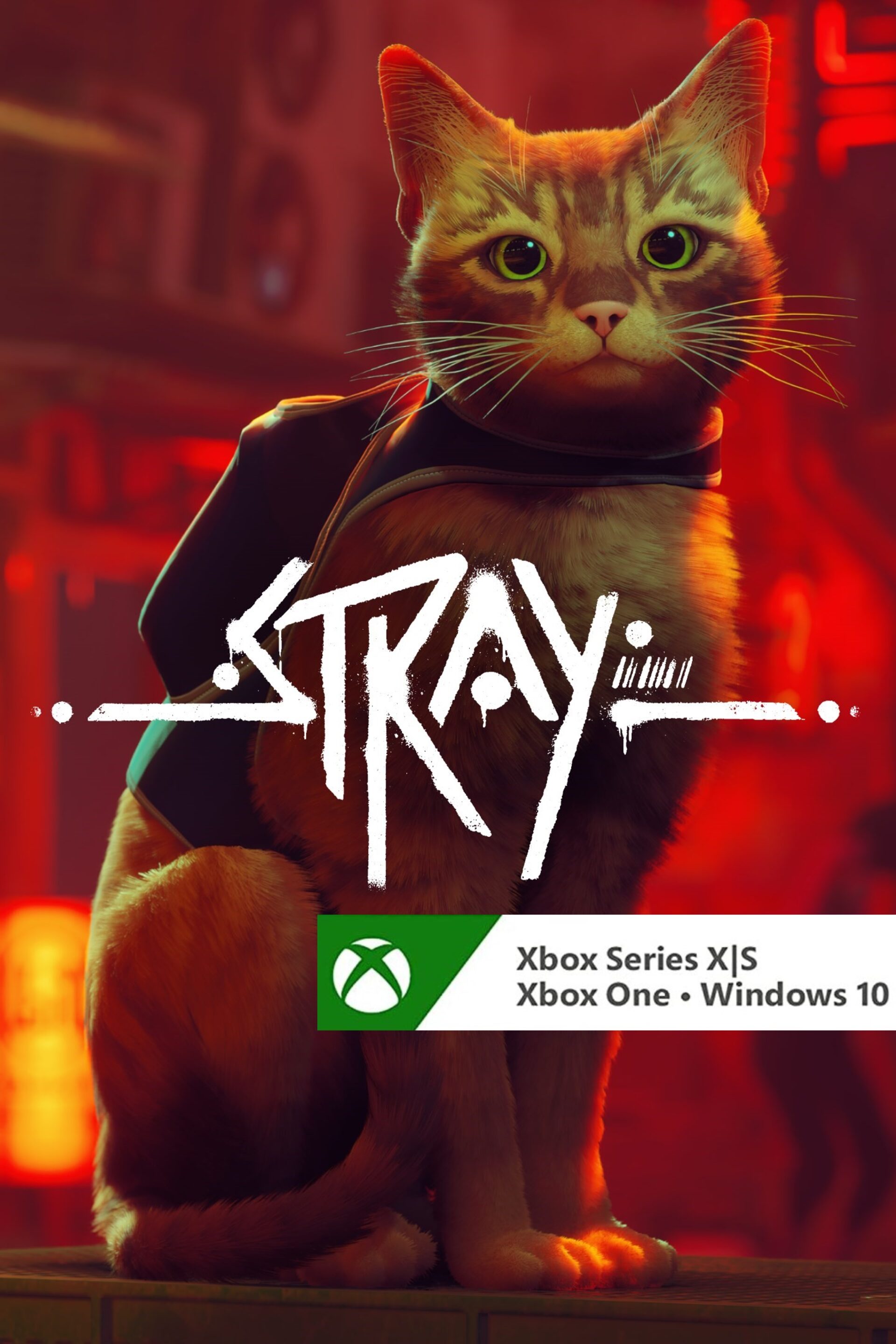 STRAY O JOGO DO GATO NO XBOX 