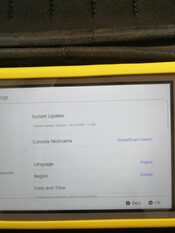 Nintendo Switch Lite, Grey, 32GB (Atrištas su 128GB SD kortele ir žaidimais)