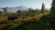 theHunter: Call of the Wild - 2021 Edition XBOX LIVE Key EUROPE