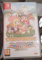 Buy STORY OF SEASONS: Friends of Mineral Town Nintendo Switch