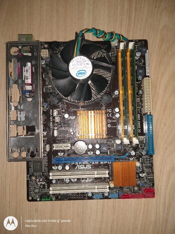 Comprar Asus P5KPL-AM EPU Intel G31 Micro ATX DDR2 LGA775 1 x PCI-E x16 ...