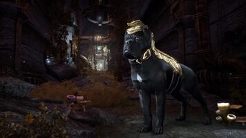 The Elder Scrolls Online: Morrowind - The Discovery Pack (DLC) Official Website Key GLOBAL for sale