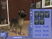 Buy The Sims 2: Pets Wii