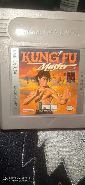 Kung-Fu Master Game Boy