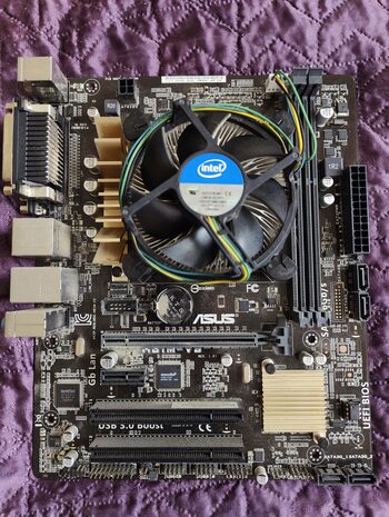 Asus H81M-A Intel H81 Micro ATX DDR3 LGA1150 1 x PCI-E x16 Slots Motherboard