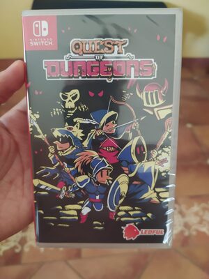 Quest of Dungeons Nintendo Switch