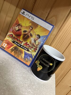 Cobra Kai 2: Dojos Rising PlayStation 5