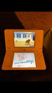 nintendo dsi xl