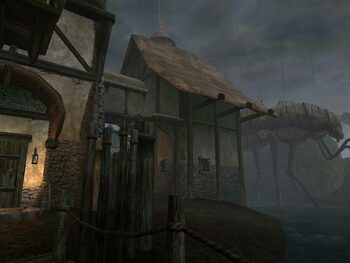 The Elder Scrolls III: Morrowind Xbox for sale