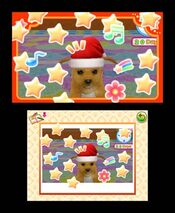 Get Puppies 3D Nintendo 3DS
