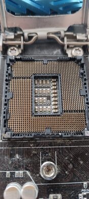 Buy Asus P8P67 PRO (REV 3.1) Intel P67 ATX DDR3 LGA1155 3 x PCI-E x16 Slots Motherboard