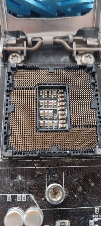 Buy Asus P8P67 PRO (REV 3.1) Intel P67 ATX DDR3 LGA1155 3 x PCI-E x16 Slots Motherboard
