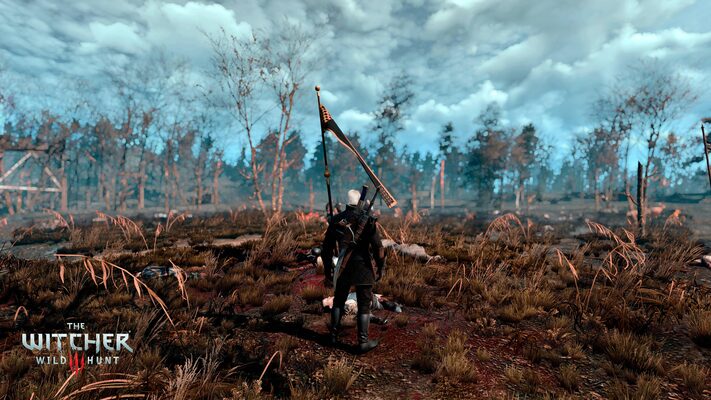 Buy The Witcher 3: Wild Hunt gog key for Cheaper! | ENEBA