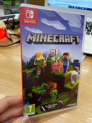 Minecraft Nintendo Switch