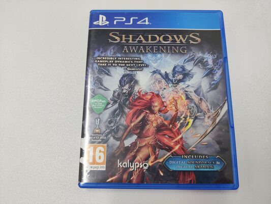 Shadows: Awakening PlayStation 4