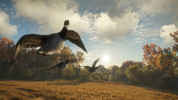 theHunter: Call of the Wild - Wild Goose Chase Gear (DLC) (PC) Steam Key GLOBAL
