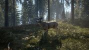 theHunter Call of the Wild (2019 Edition) Steam Key EUROPE for sale
