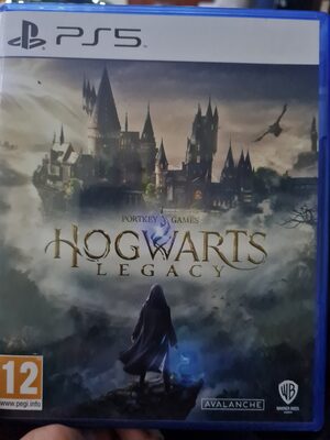 Hogwarts Legacy PlayStation 5