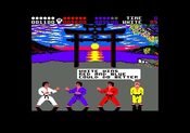 Redeem International Karate + Game Boy Advance