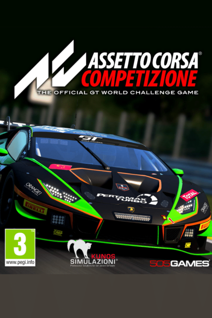 Assetto Corsa Competizione Sony PlayStation 4 PS4 Boxed PAL - International  Society of Hypertension