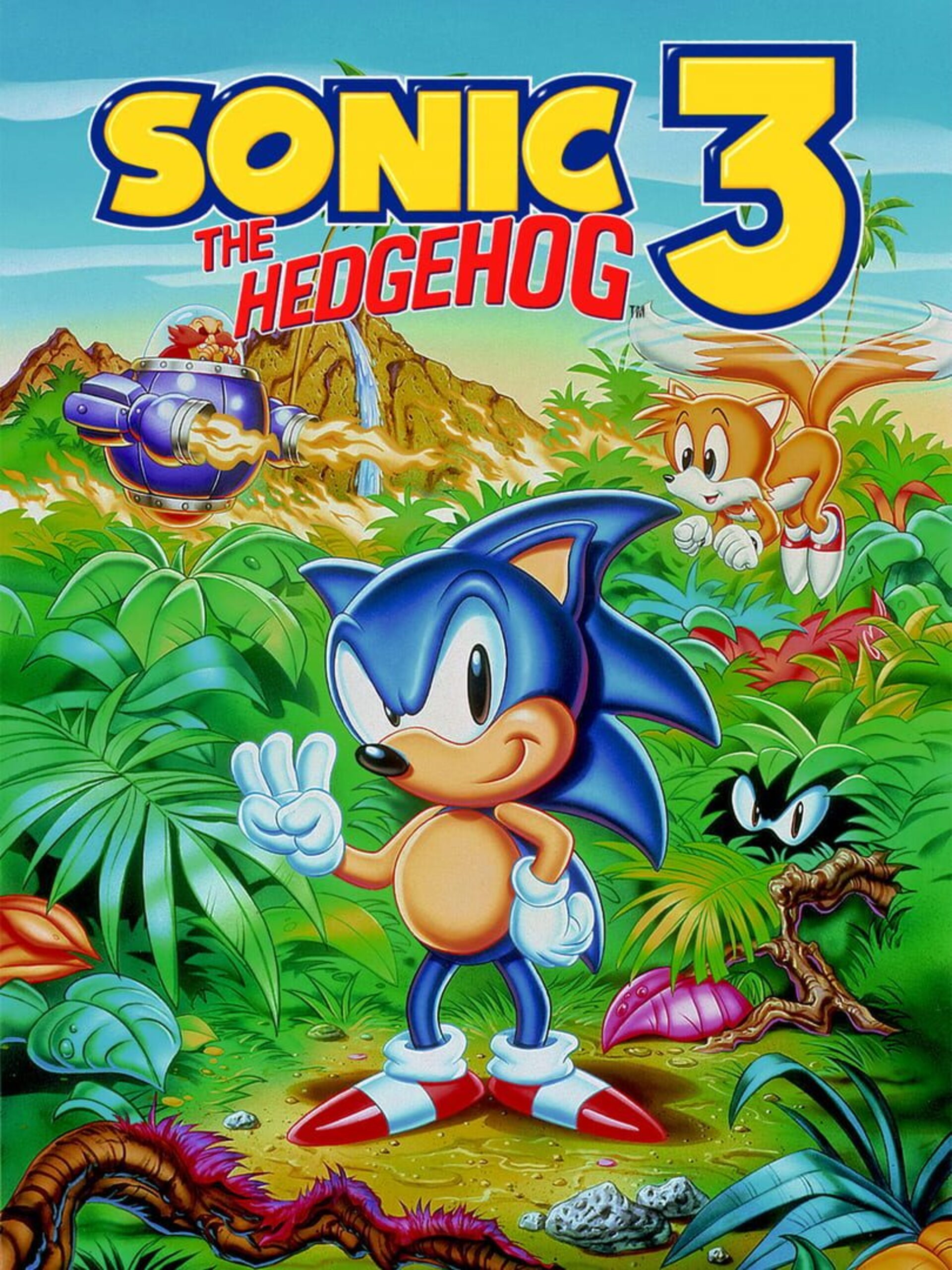 Play Genesis Sonic the Hedgehog 3 (Europe) Online in your browser 