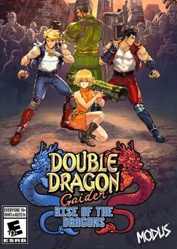DOUBLE DRAGON GAIDEN Rise of the Dragons Famicom Limited Edition Steel –  FantasyBox