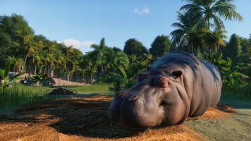 Planet Zoo (Deluxe Edition) Steam Key EUROPE for sale