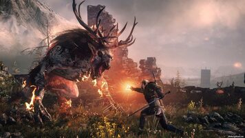 The Witcher 3: Wild Hunt GOG.com Key GLOBAL