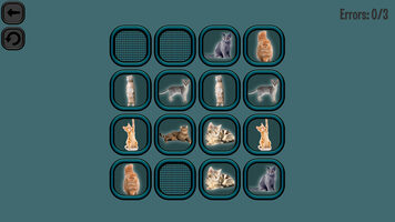 Animals Memory: Cats (PC) Steam Key GLOBAL