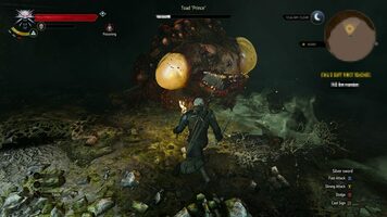 how to change witcher 3 language to polish