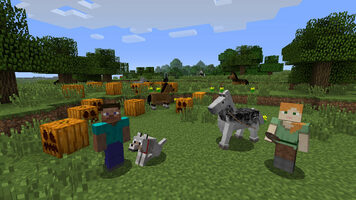 Minecraft: Java & Bedrock Edition for PC Deluxe Edition