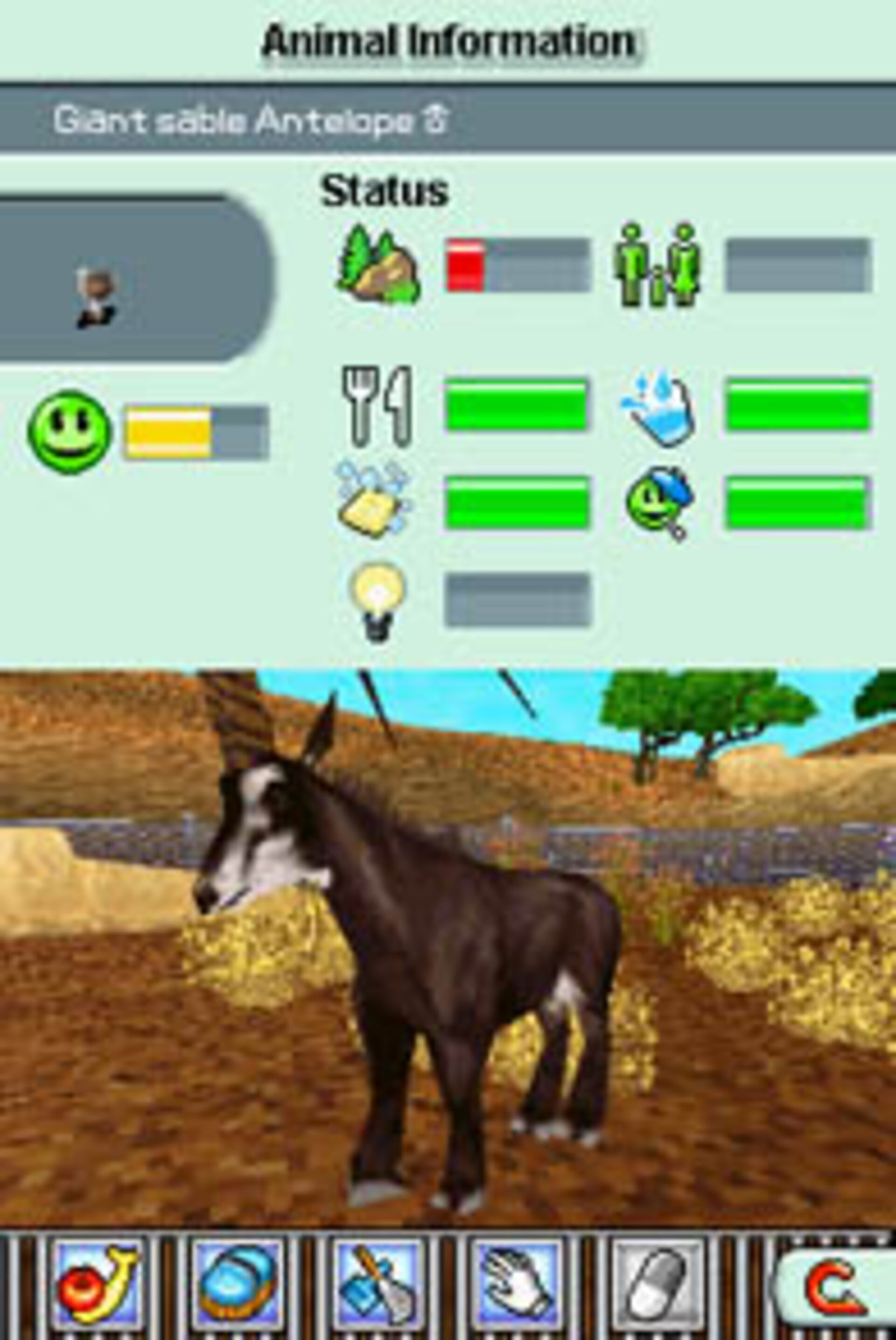 Buy Zoo Tycoon 2 Ds Online In India -  India