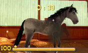 My Riding Stables 3D - Jumping for the Team Nintendo 3DS for sale