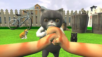 Buy Kitten Life Simulator Steam Key GLOBAL