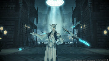 Final Fantasy XIV: Endwalker Digital Collector's Edition (DLC) Mog Station Key EUROPE