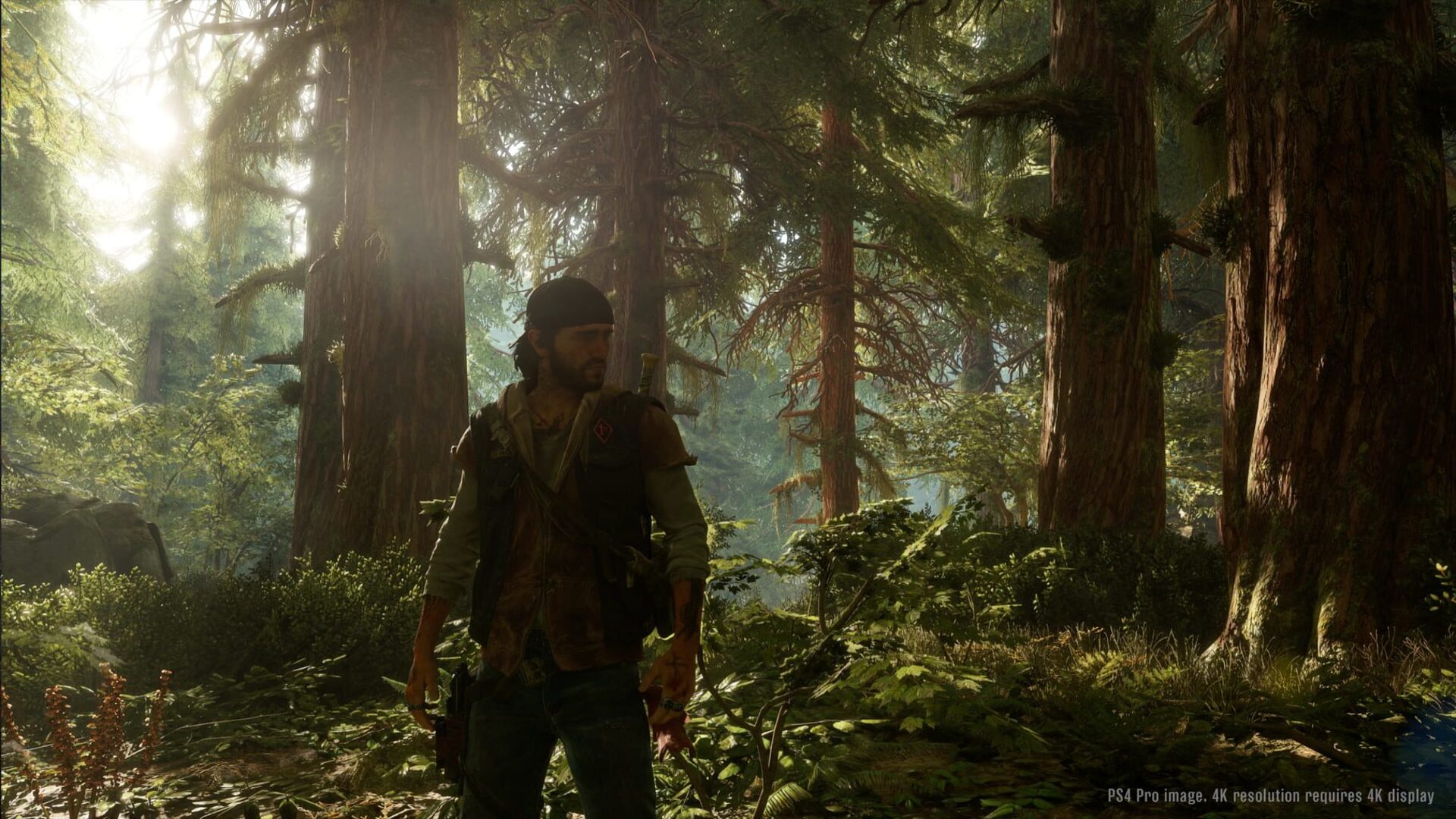 Days Gone Steam Key for PC - Buy now