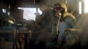 Get Far Cry 4 + Far Cry Bundle XBOX LIVE Key UNITED STATES
