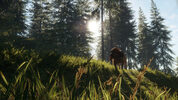theHunter: Call of the Wild - Bloodhound (DLC) (PC) Steam Key GLOBAL