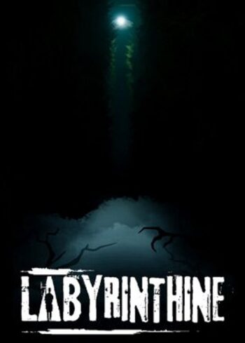 Labyrinthine (PC) Steam Key GLOBAL