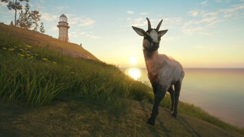 theHunter: Call of the Wild - Te Awaroa National Park (DLC) (PC) Steam Key GLOBAL