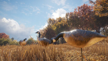 Get theHunter: Call of the Wild - Wild Goose Chase Gear (DLC) (PC) Steam Key GLOBAL